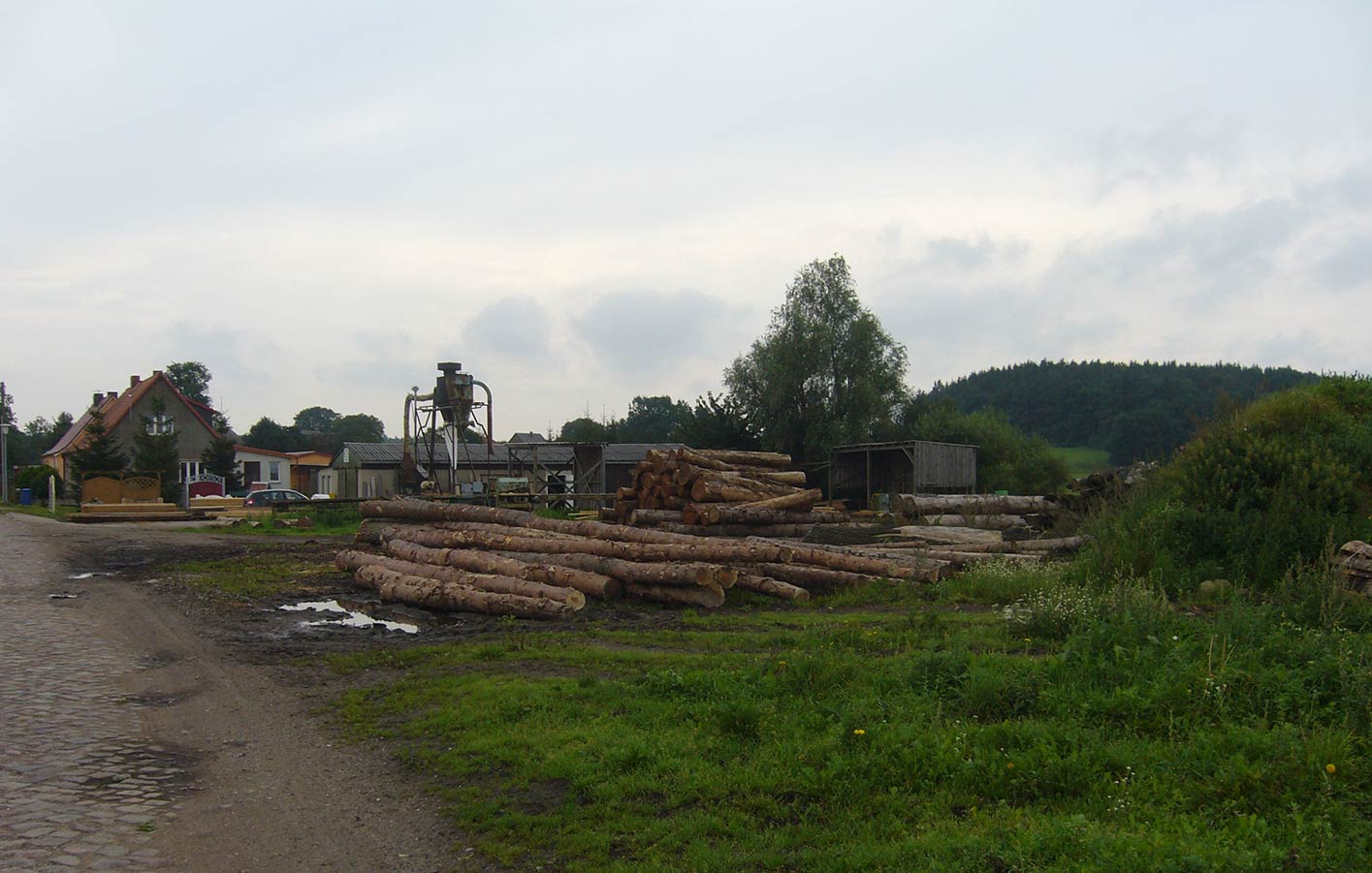 Baumstämme für Sägewerk und Holzfachmarkt Jürgen Thede in Perniek nahe Schwerin