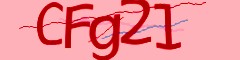 Geben sie die im Bild dargestellte Zeichenfolge ein